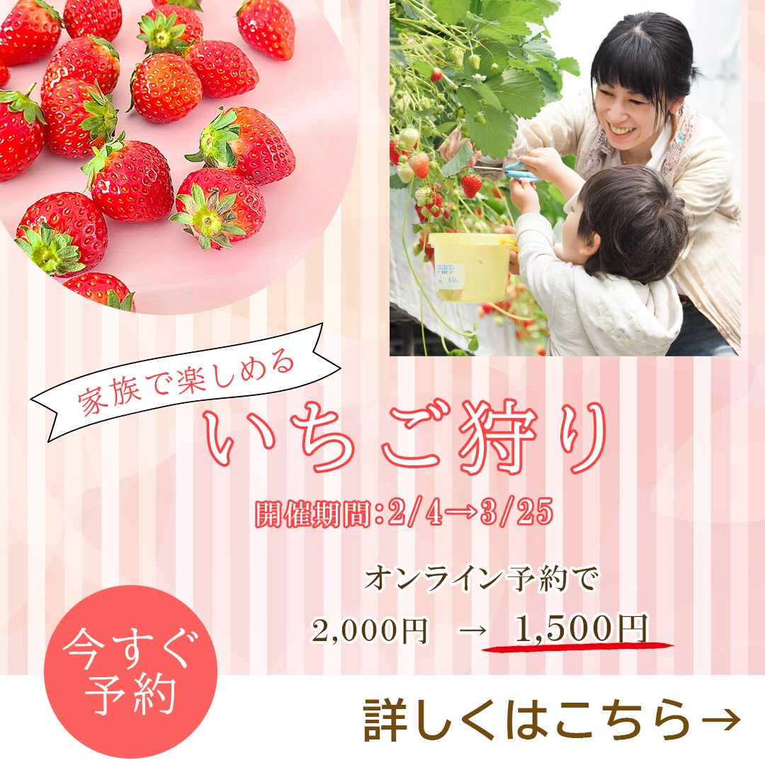 SNS画像やバナー制作承ります 初めての方も安心・低価格でご利用いただけます。 イメージ2