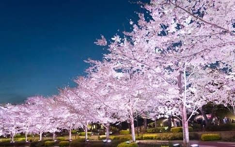 悩みがスッキリ解決します 恋愛や人間関係、仕事に悩んでる方はぜひ！ イメージ1