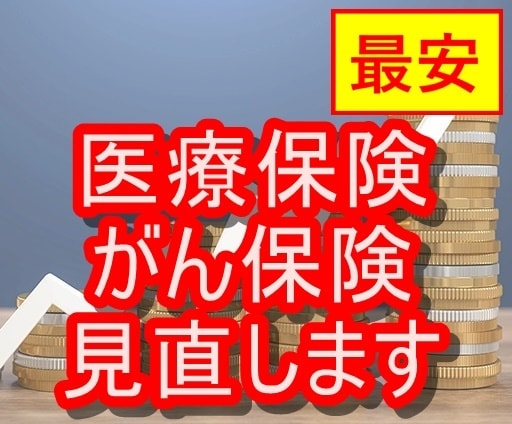 最安！現役FPが医療保険・がん保険を見直します 医療保険を見直して、毎月の支出を大幅カット！ イメージ1