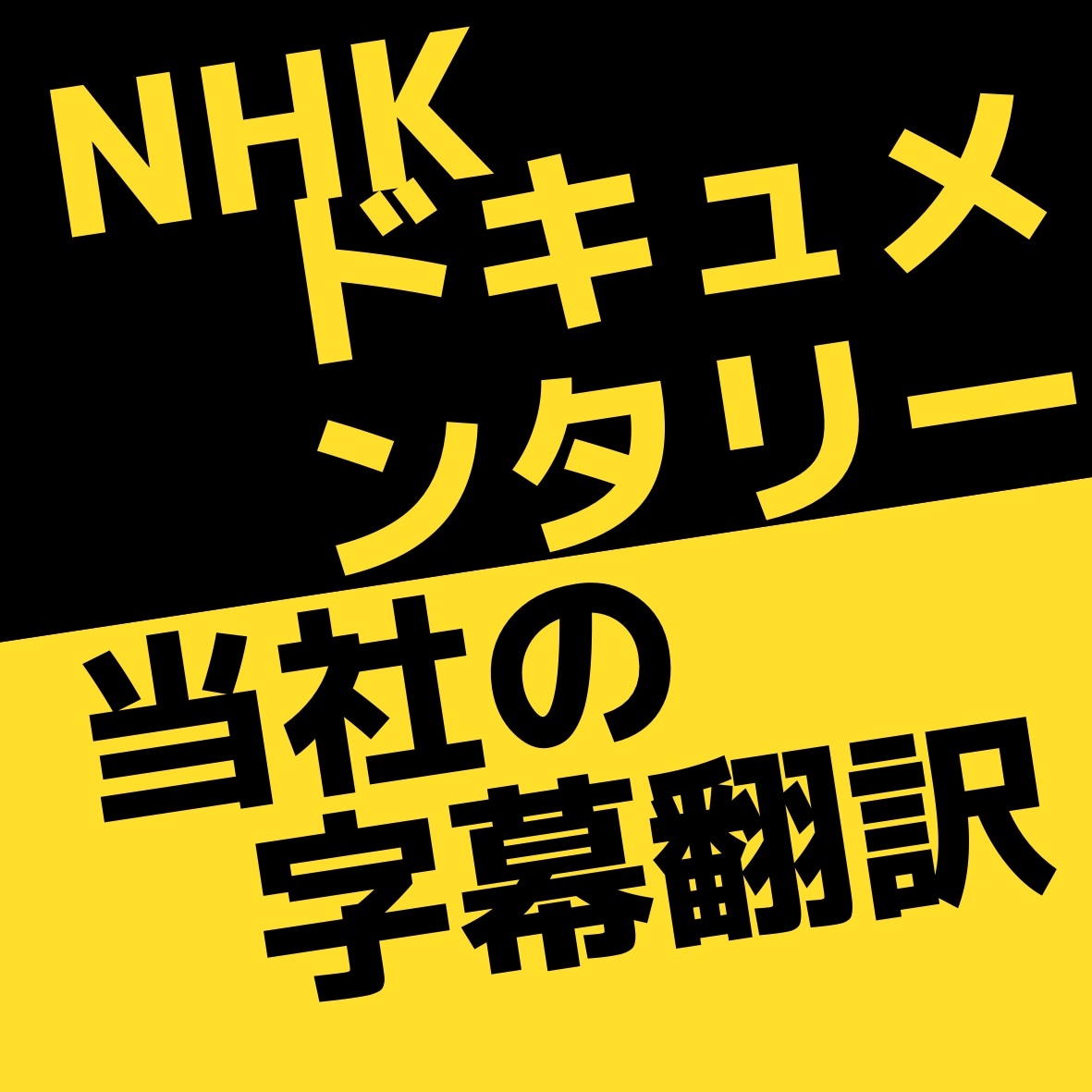 映像文字起こし・翻訳・字幕つけします 映像を文字起こしして日、中、韓へと翻訳・字幕つけ イメージ1