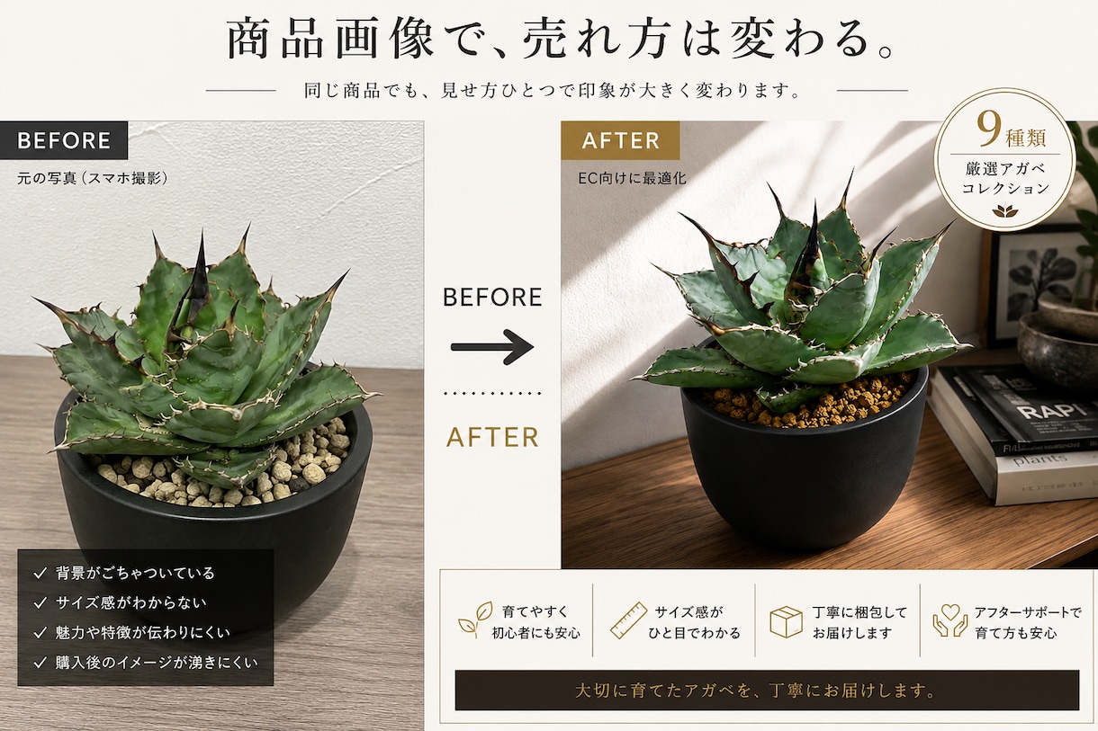EC歴17年×AIで売れる商品画像を制作します 楽天・Amazon・Yahoo!等 主要ECモール対応 イメージ2