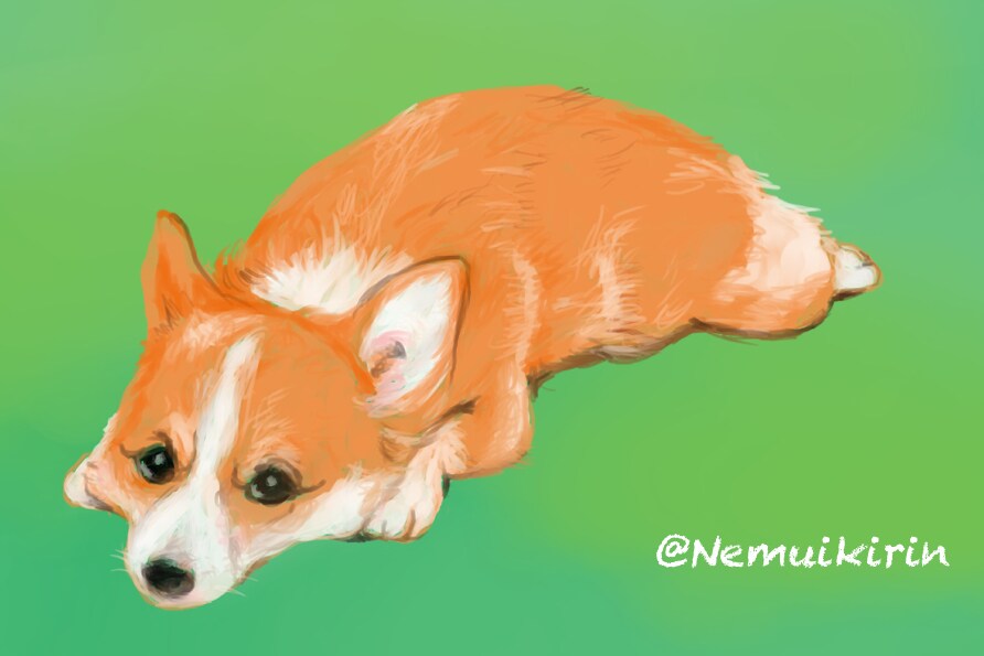 愛犬のイラスト描きます ＜個人・商用可＞リアル可愛い、グッズにしやすいイラストです イメージ4