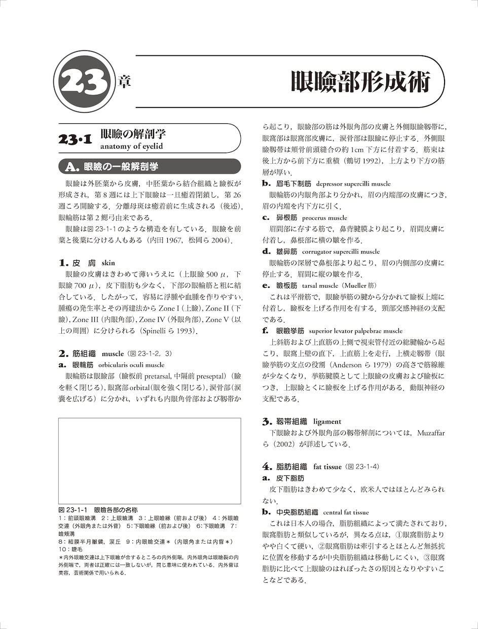 DTPデータの赤字修正いたします InDesign・Illustratorのデータ修正致します イメージ5