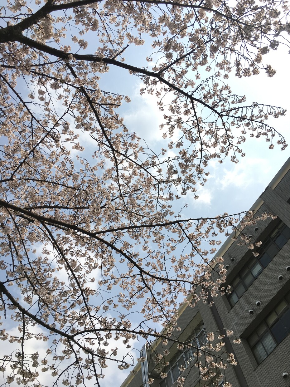 文系大学編入を目指している方の相談のります 実際にフリーターから専門学生になり、国立大学編入した実績から イメージ1