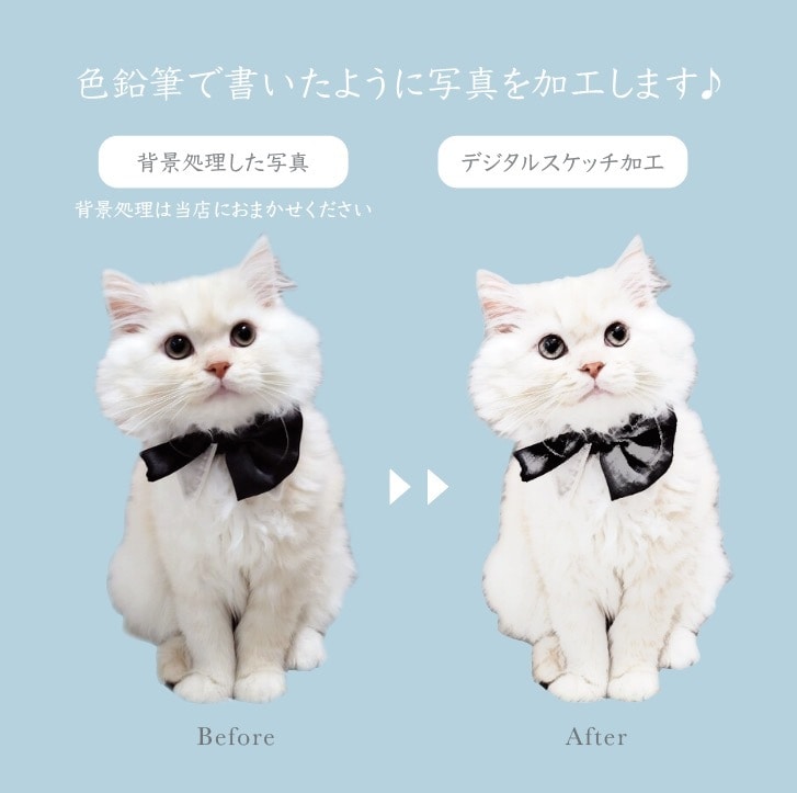 ペットの写真を入れた世界で1つの婚姻届を作成します デジタル加工を加え写真をイラスト風に加工して仕上げます♪ イメージ2