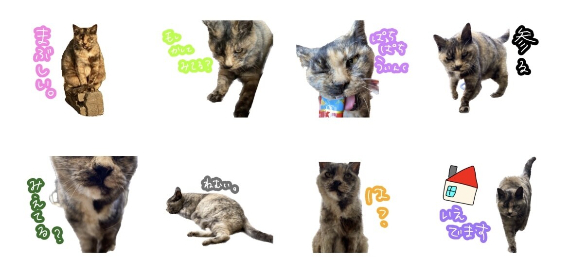 我が家のかわいいLINEスタンプ作成します 画像を使用してLINEスタンプ作成します！！！ イメージ2