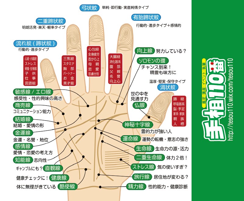 手相鑑定歴35年、3万人以上のプロが占います 資質、知りたい運勢を観ます（購入後電話前に手相画像添付必要） イメージ4