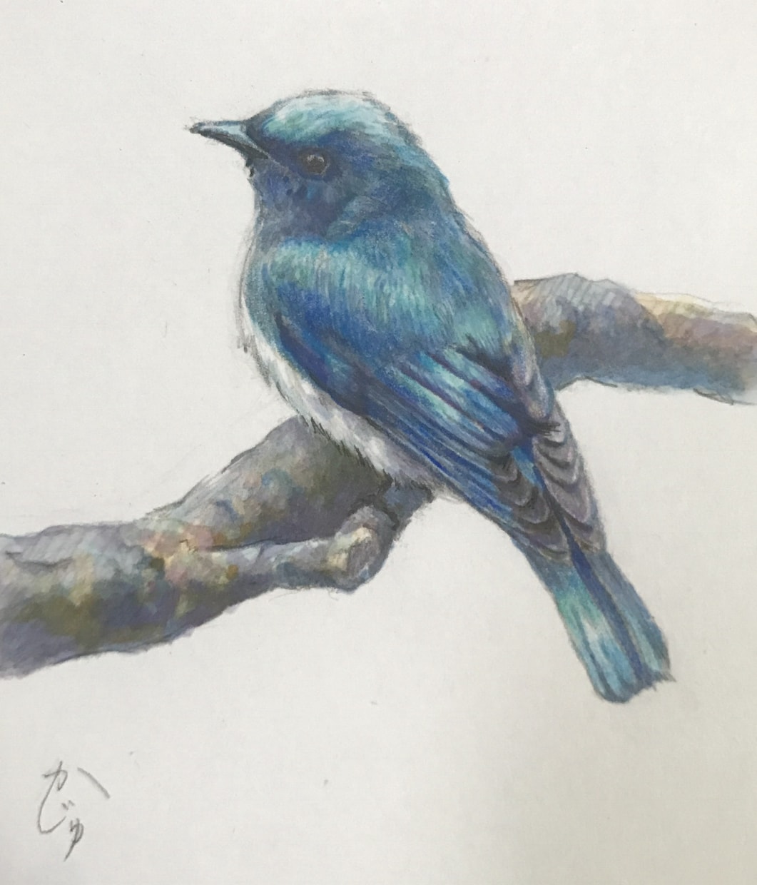 愛犬、愛猫、愛鳥の絵描きます あなたと大切なペットとの思い出、絵に残してみませんか？ イメージ7