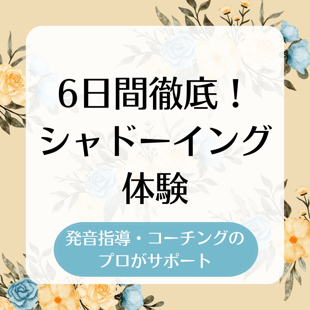 体験:あなたに合ったシャドーイングをサポートします 脱・自己流★発音添削のプロが毎日アドバイスをお送りします！ イメージ1