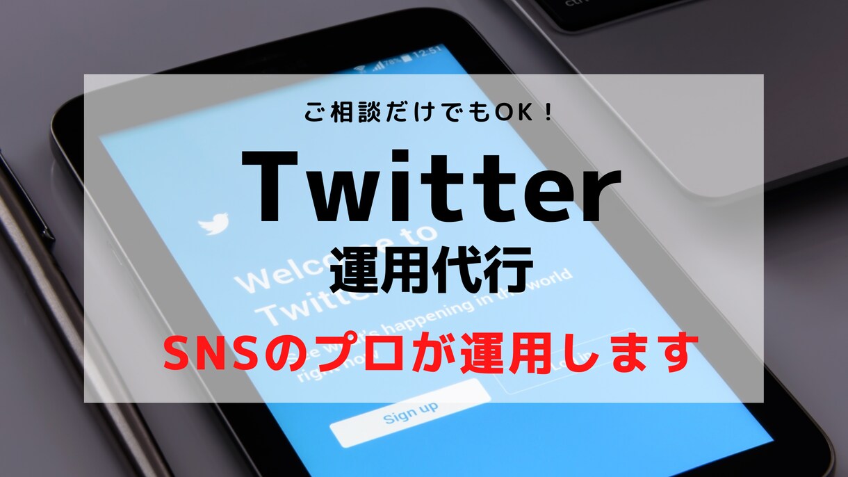 プロが1ヶ月Twitter運用代行いたします 企業アカウントの実績多数有り！手作業で丁寧に対応します。 イメージ1