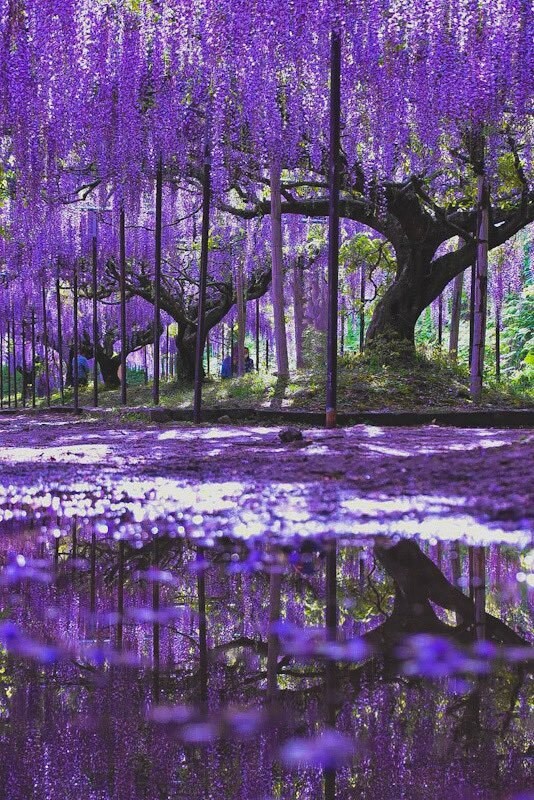 簡単な写真加工致します お気軽にできるように心がけております。 イメージ4