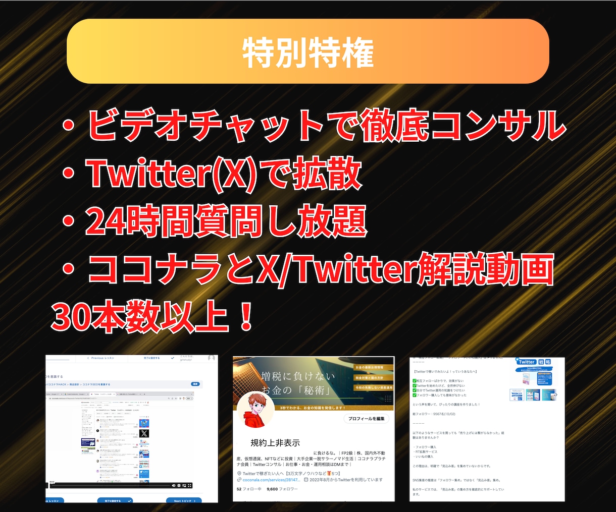 副業で稼ぐココナラ×Twitter(X)教えます ビデオチャット60分、30日間質問無料、拡散サービス付 イメージ10