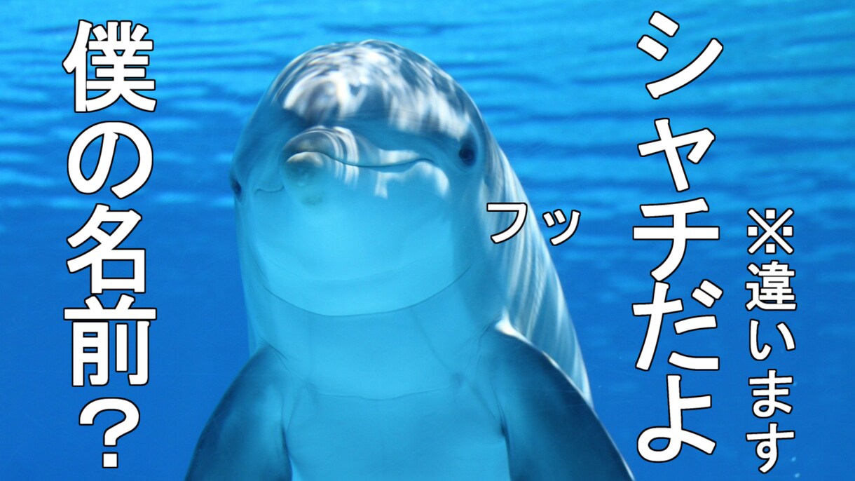 Youtubeで目を引くサムネ作ります 誰もが見たくなる様なサムネにしませんか？ イメージ6