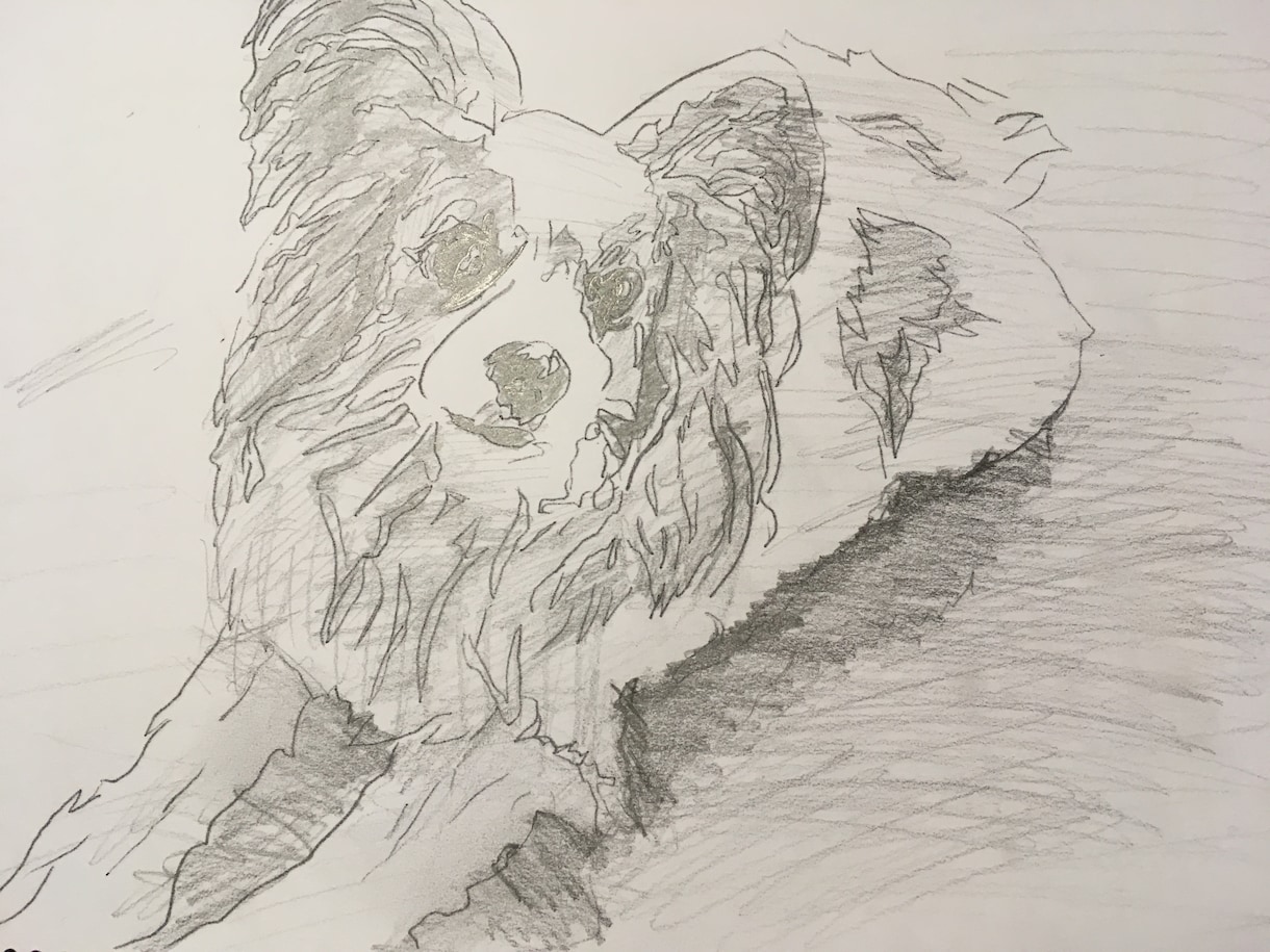 手書きでもデジタルでも】ペットの似顔絵かきます お祝いやプレゼントに♪雰囲気のある似顔絵が欲しいかたへ イメージ2