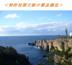 特許技術文献を簡易調査致します ご希望の分野の特許技術文献を簡易的に調査致します。 イメージ1