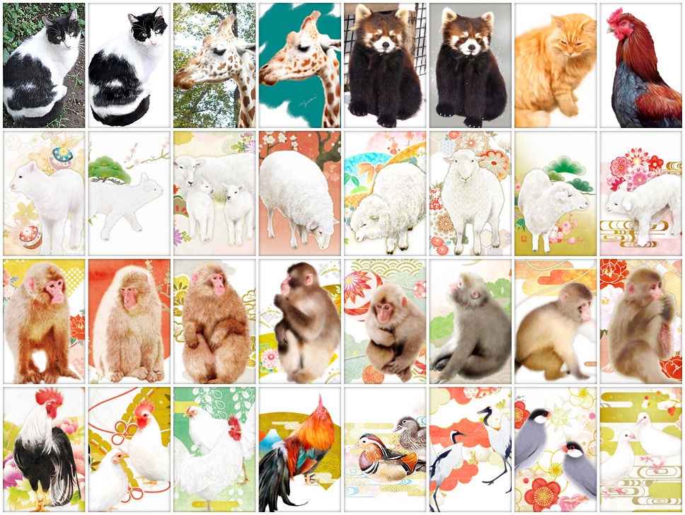 デジタル・リアル動物イラスト。手描き風に描きます 鮮明な画像をお送りください。心を込めて描かせていただきます イメージ3