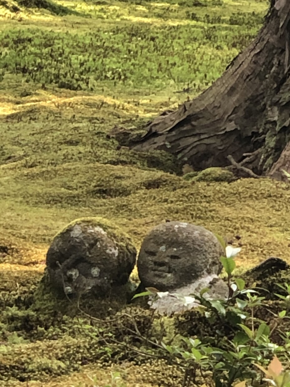 あなたの名前に隠れているあなた自信を見つけます 生まれた時から決まっている、あなたの秘密をお伝えします。 イメージ1