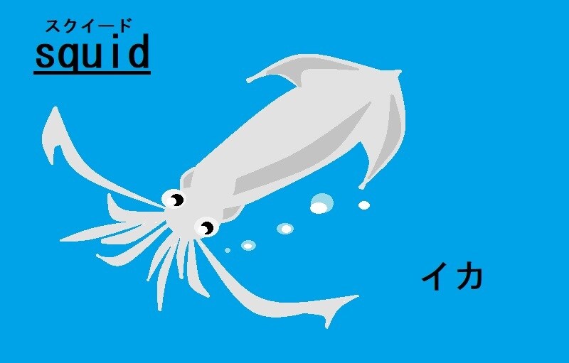 マウスで、英単語イラスト描きます あの日本語を英語とイラストで知りたい人に送ります イメージ1