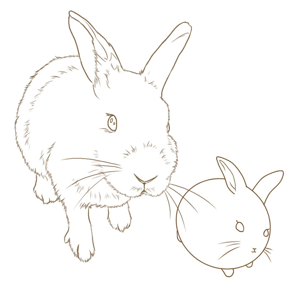 うちの子塗り絵お描きします ペットなどのお好きな動物を自分色で彩ってみませんか イメージ9