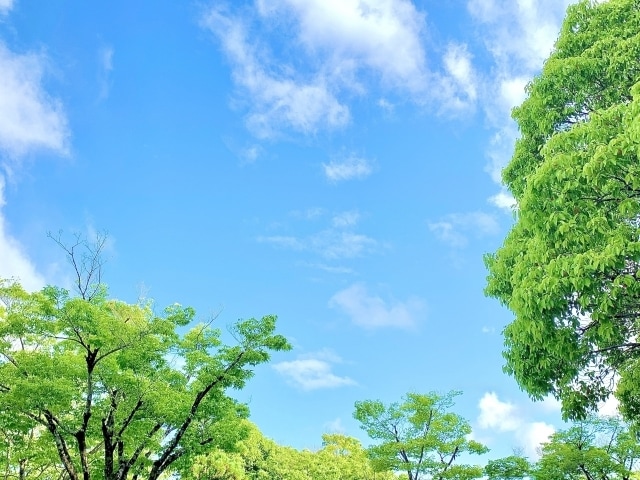 タロット年運｜１年のテーマと心の流れを読み解きます ｜迷ったときに、自分らしく進むためのやさしい道しるべ✨️ イメージ6