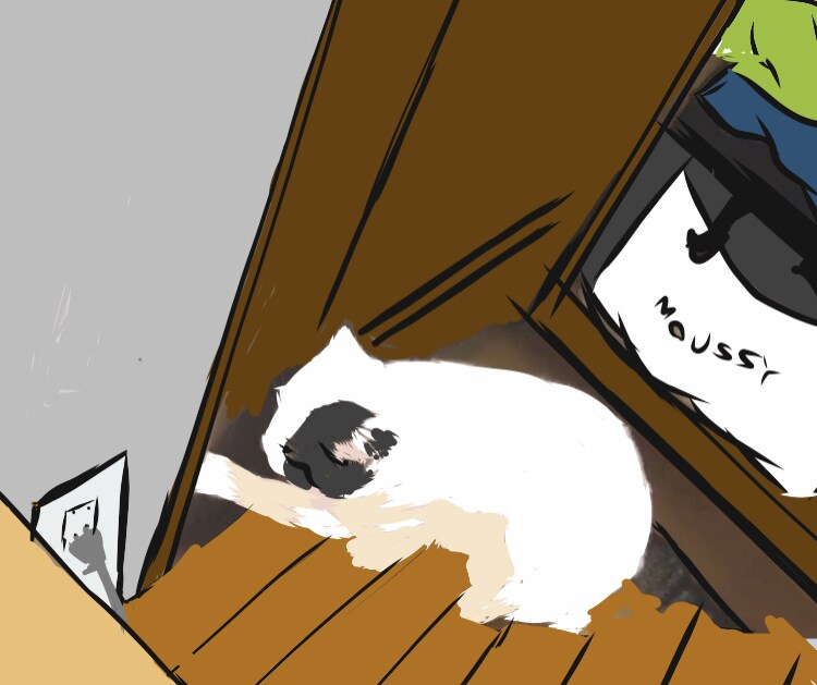 オシャレでかわいいイラスト描きます 僕しかできないイラストで満足いくこと間違いなし イメージ2