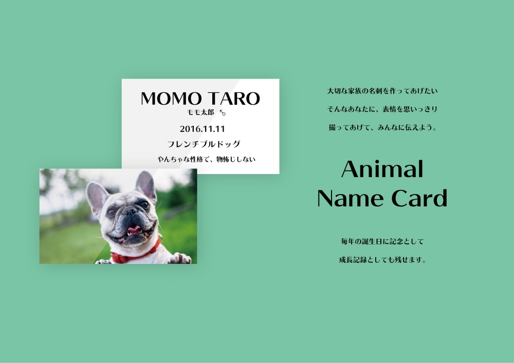 プロがペット用名刺カードデザインします 大切なペットの名刺、バースデーカードデザインします。 イメージ2