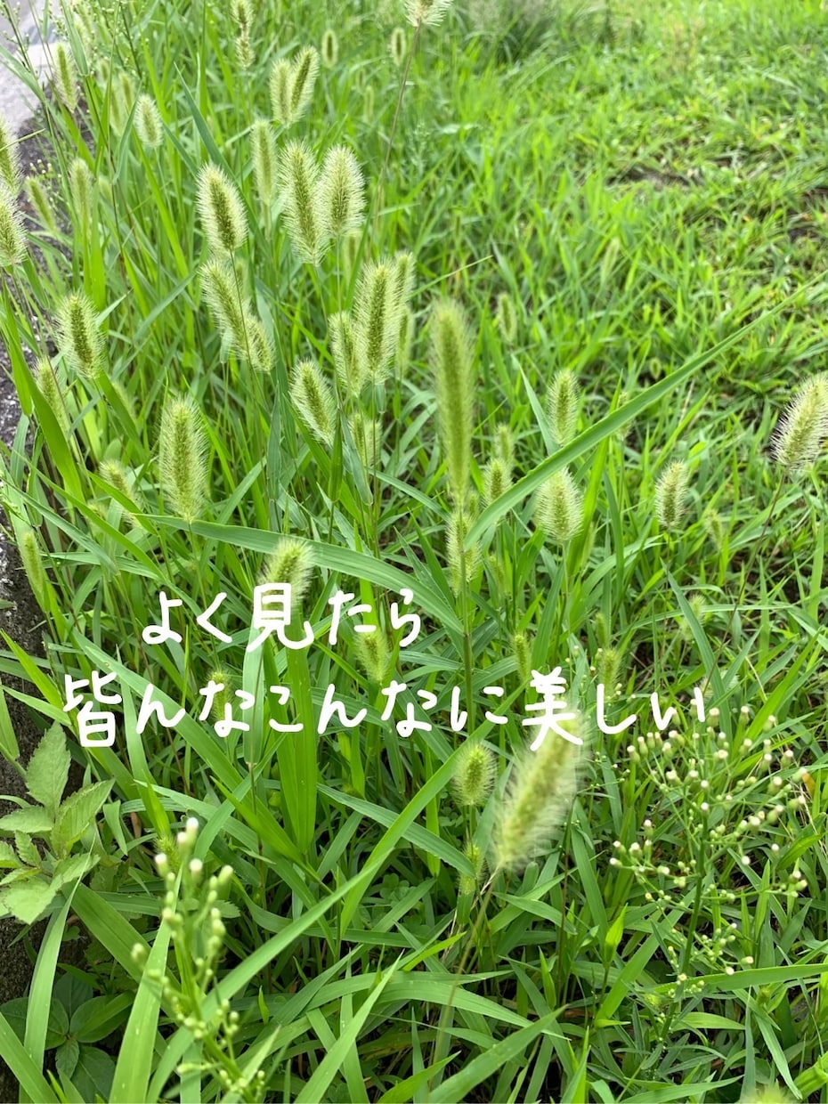 心をホッとさせて、私の幸せをお裾分けします 変な声の私とお話しして人生をチェンジして下さい！絶対大丈夫！ イメージ8