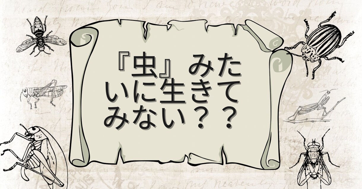 読者の感情や行動を変える記事を執筆します 1文で読者の人生を変える執筆をする イメージ3