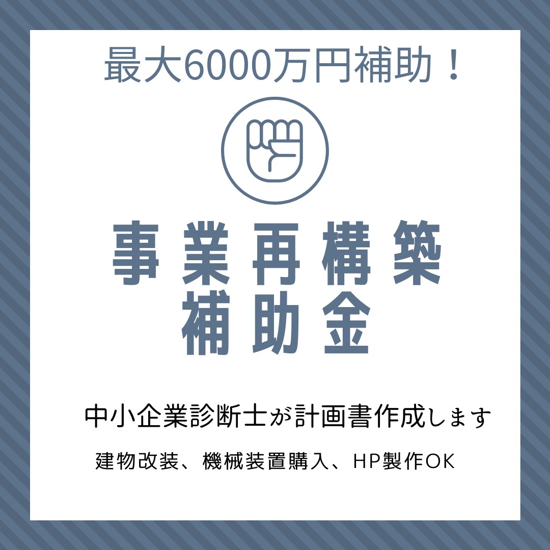 事業再構築補助金の過去不採択案件を修正します なぜあなたの計画書は採択されないのか？専門家がゼロから修正 イメージ1