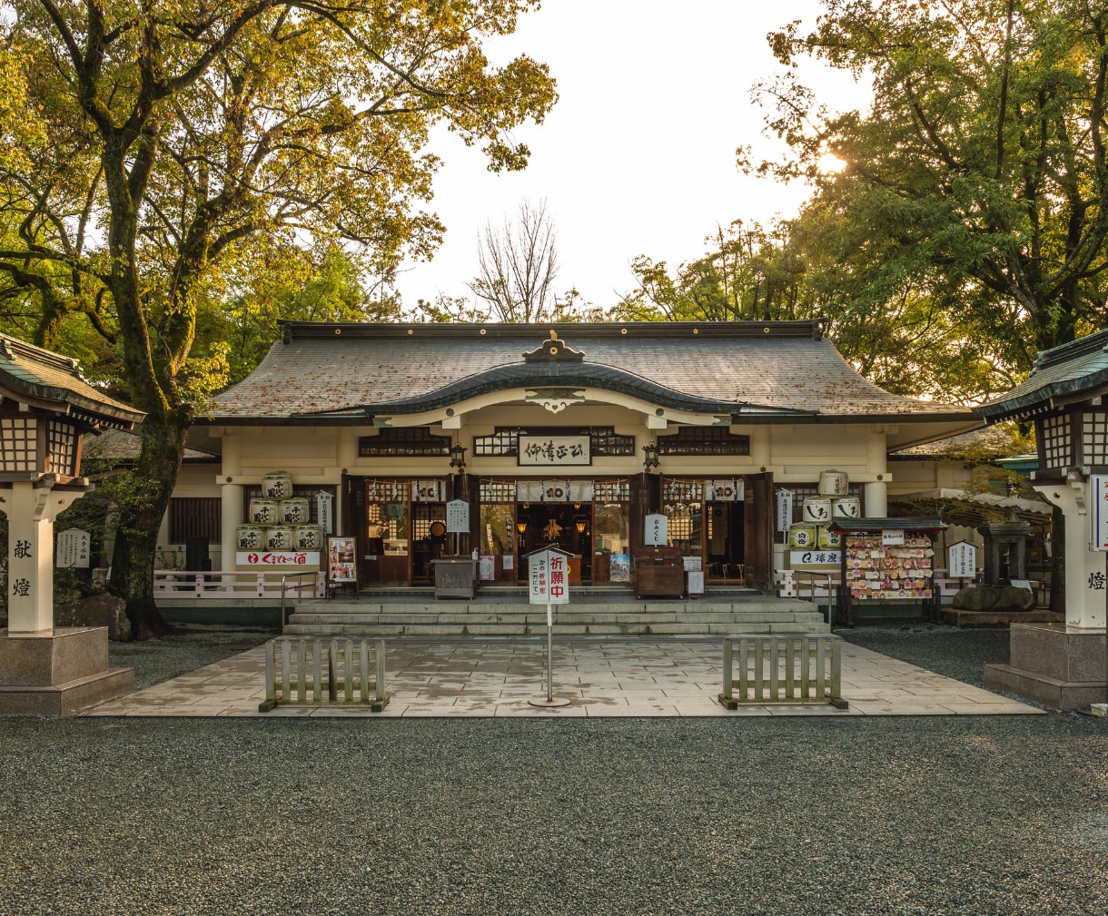 占いジプシー。魂が迷い続ける本当の原因を霊視します 答えを探し続けてしまう魂の位相ズレを、神域霊視で読み解きます イメージ6
