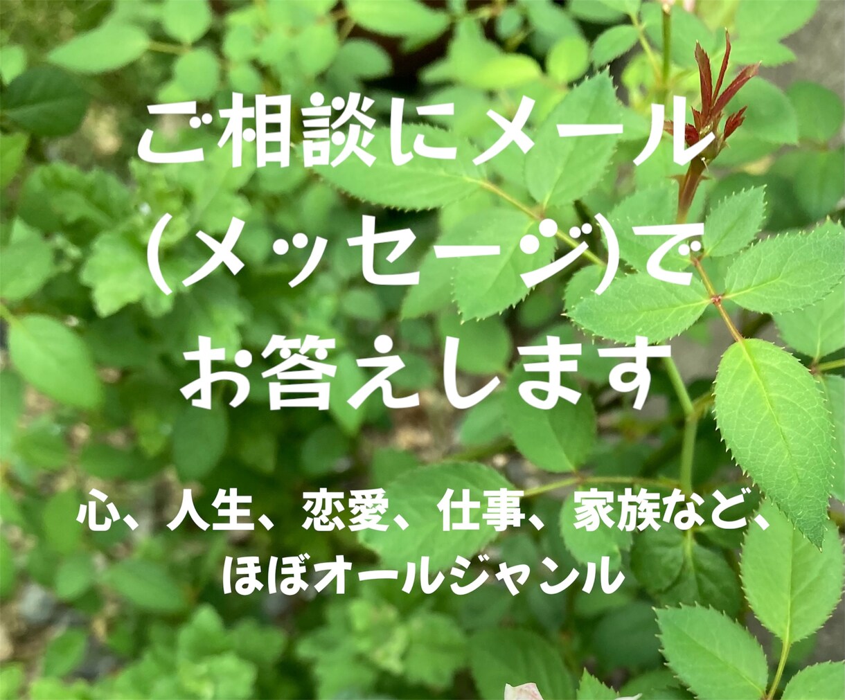 お悩み・ご相談にメッセージでお答えします 電話で話しにくい、文章の方が伝えやすいと思ったらどうぞ イメージ1