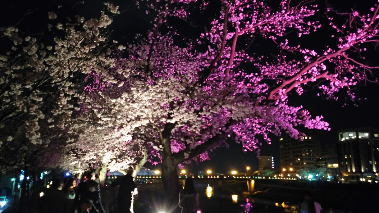 国内の旅の計画のお手伝いします 国内あちこちの楽しいところ、見どころ提案します イメージ1