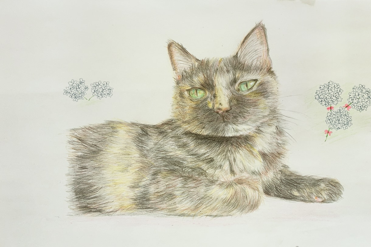 あなたの大切な猫ちゃんのイラストを描きます やさしい繊細な画風でねこちゃんのイラストをお届けします！ イメージ1