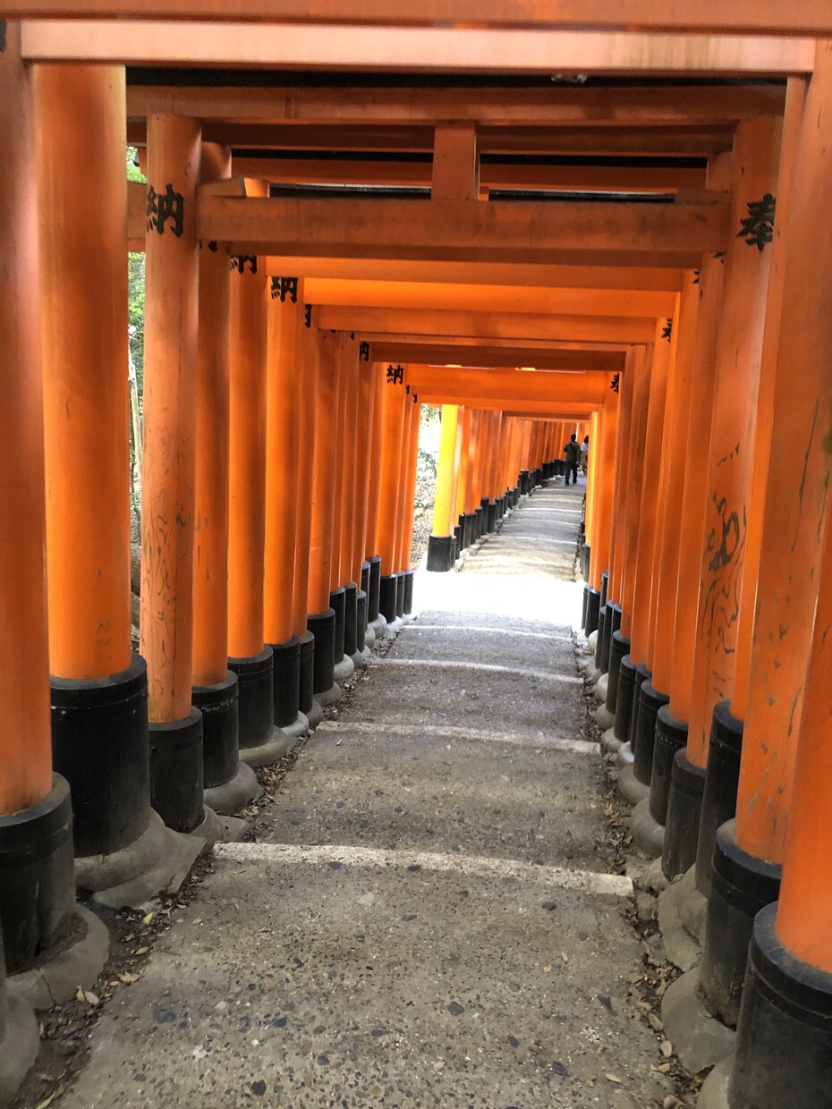 さくちゃんの恋愛相談室 お話聞きます ちょっとだけあなたの心の中除きます♪ イメージ1