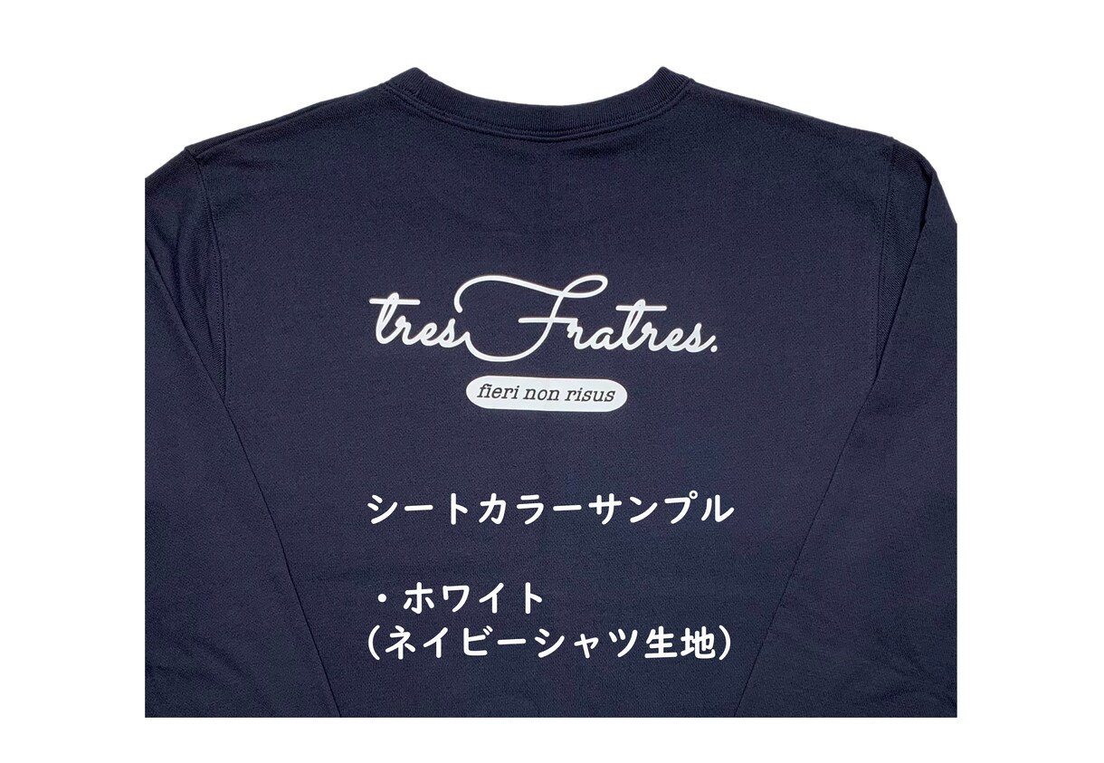 アイロンプリントシートを作成します チームシャツ、ぜっけんネームなどにおすすめです!! イメージ6