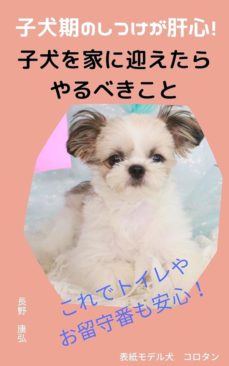 完全丸投げもOK！電子書籍出版代行します 面倒な作業を丸投げ！らくらくKindle出版代行サービス イメージ2