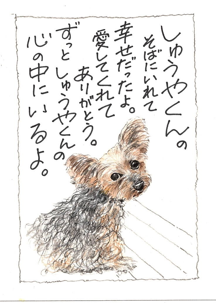 猫の可愛いイラスト描きます 癒し系のペットイラスト描きます。 イメージ7