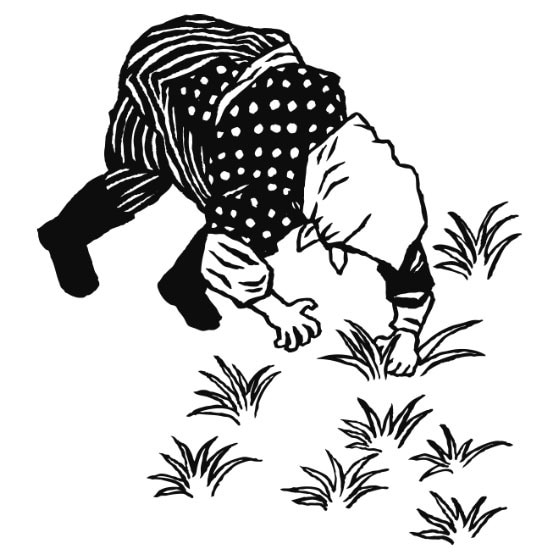 レトロな版画調イラスト描きます どんな題材でもそれっぽく仕上げます。パッケージや挿絵などに。 イメージ3
