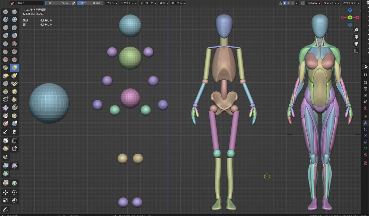 美術解剖学教えます ----大学講師が教えます---- イメージ5