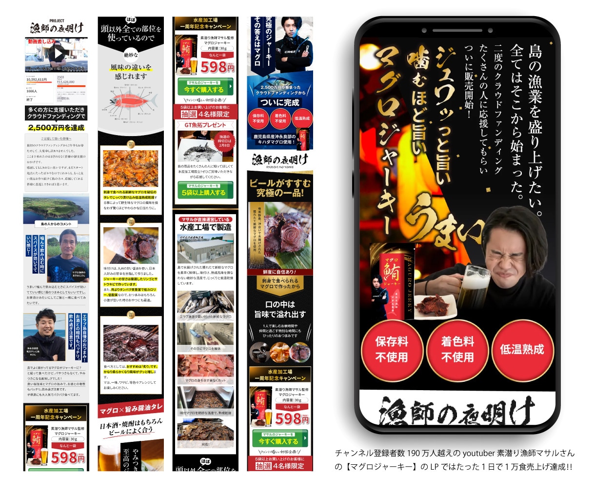 丸投げOK！ターゲットに刺さるLP作成いたします D2C、BtoB、通販、無形商材、男性、女性、ジャンル不問！ イメージ4