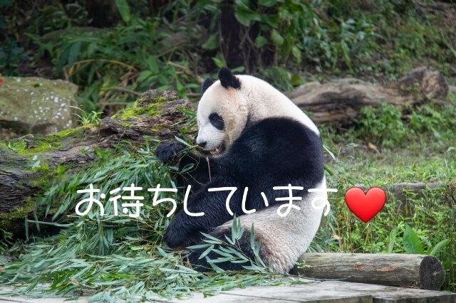 人に話しずらいモヤモヤした悩みや秘密♡受け止めます 抱え込んだ内緒の話を吐き出してスッキリ解消して下さい！✨ イメージ7