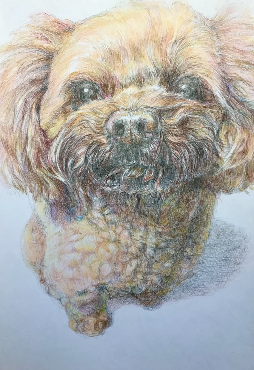 小説や絵本の手描きの挿絵を制作します 温もりがある手描きイラストはいかが？多様なジャンルに対応 イメージ8