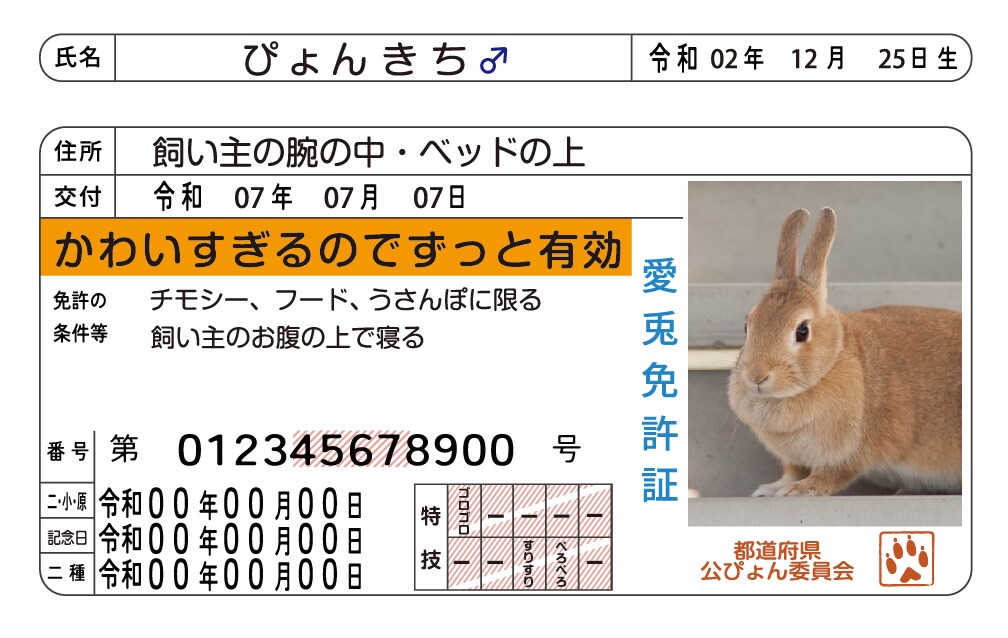 ペット免許証を最短3日で制作します 自社印刷だから安心＆スピード納品可能！ イメージ5