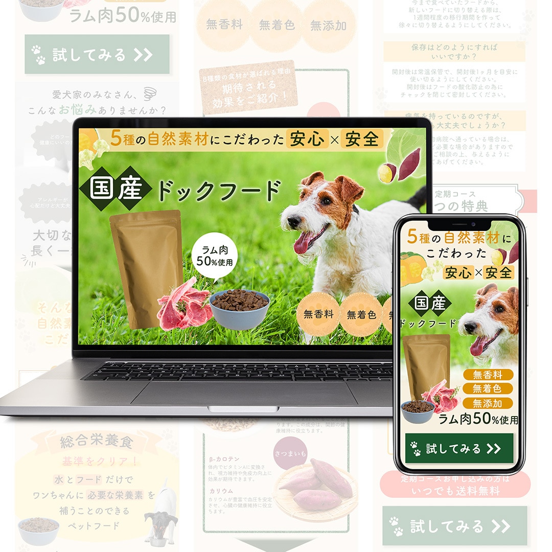 先着5名！低価格でランディングページ制作いたします 集客UP、売上UPする魅力的なデザインを！ イメージ8