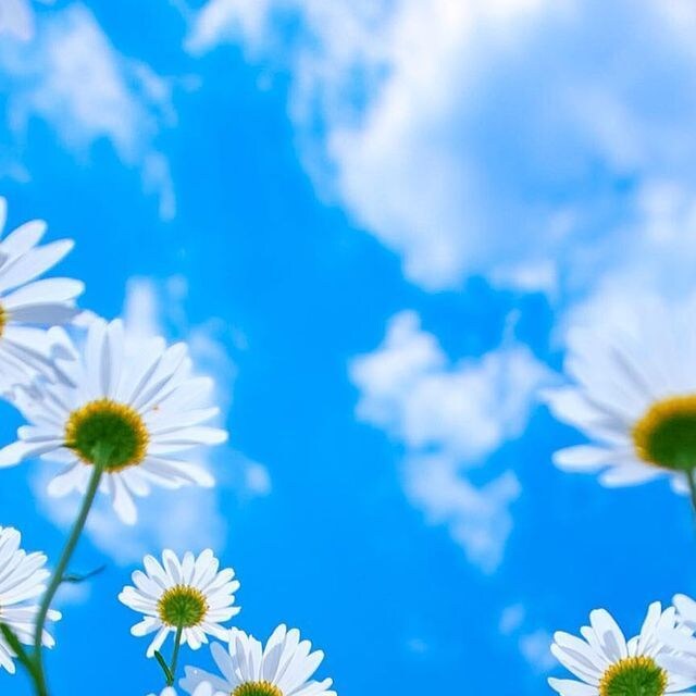 気軽にゆるりと話しましょ☆あなたのお悩み聞きます 雑談☆愚痴☆悩み☆恋愛相談☆人生相談☆お仕事の相談☆人間関係 イメージ3