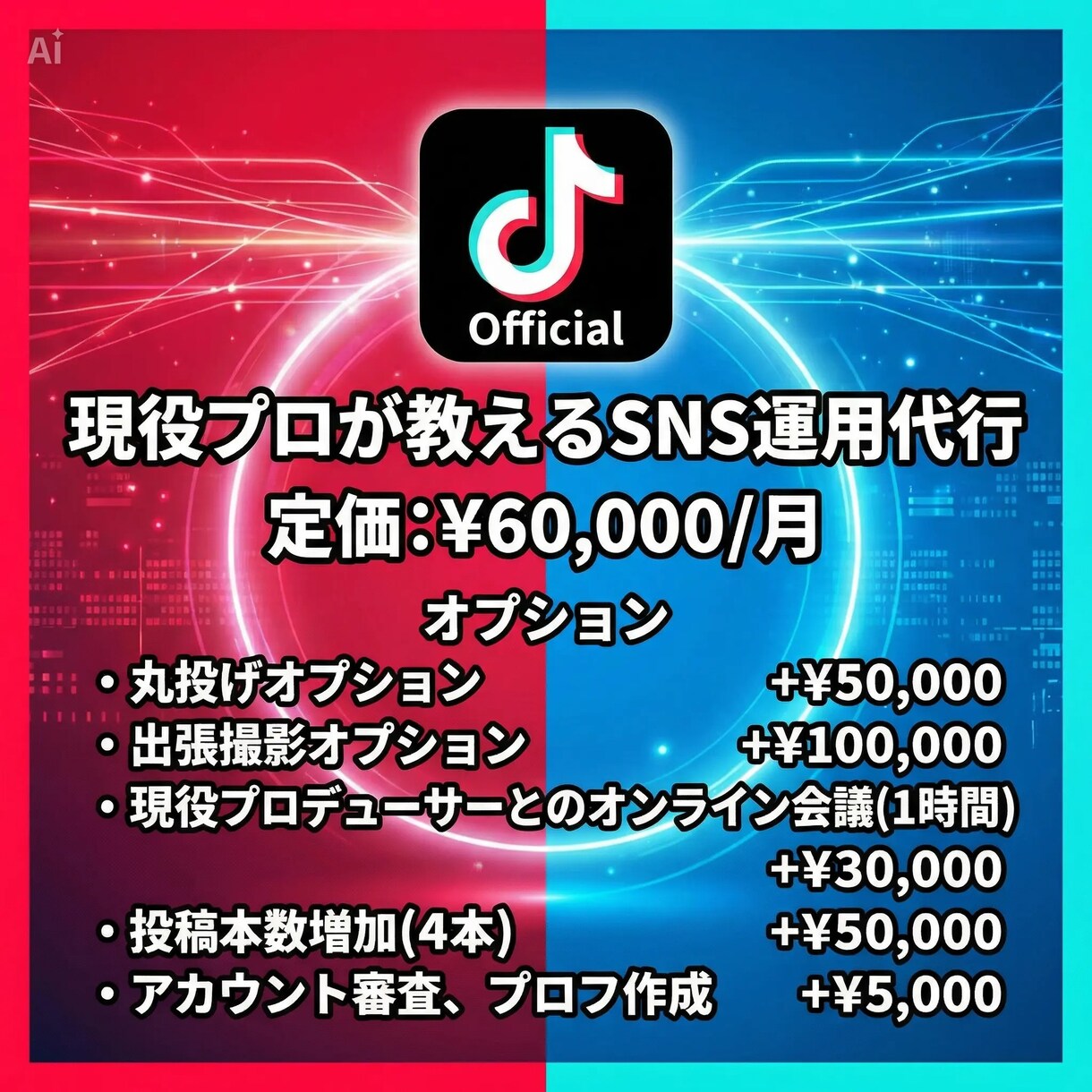現役のプロがSNS運用代行します 総フォロワー200万人のプロがあなたをサポート イメージ5