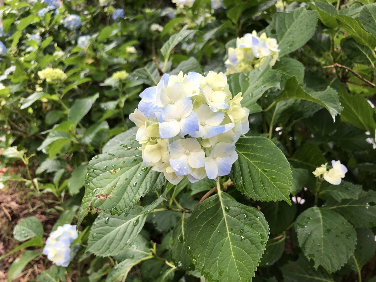 豊かさへの扉をあけるヒントをお届けします 一歩前に進みたいけどどうしていいのかわからない方向け！ イメージ2