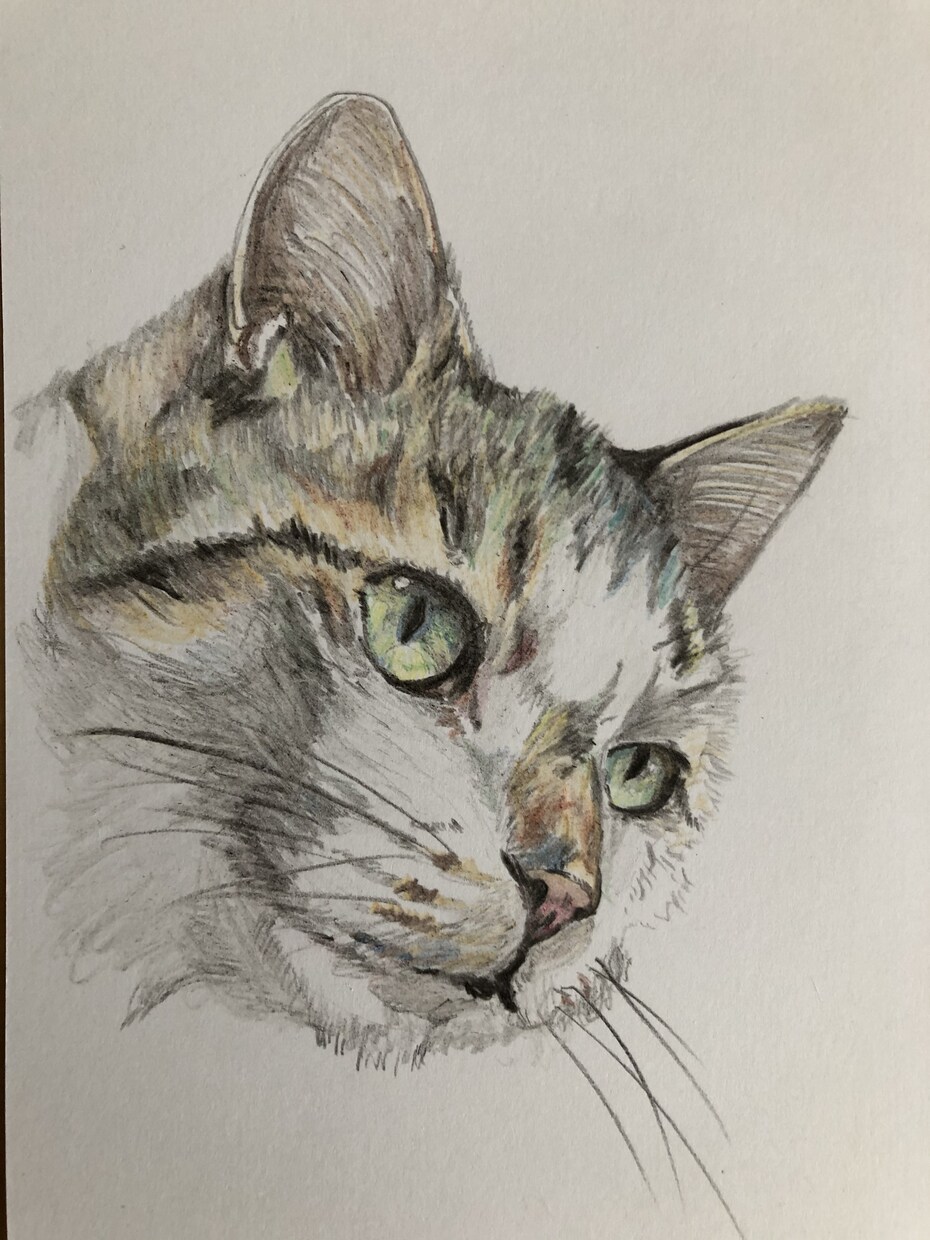 ねこ(いぬ)の似顔絵を描きます 愛する猫ちゃん(ワンちゃん)似顔絵を飾りましょう！ イメージ4