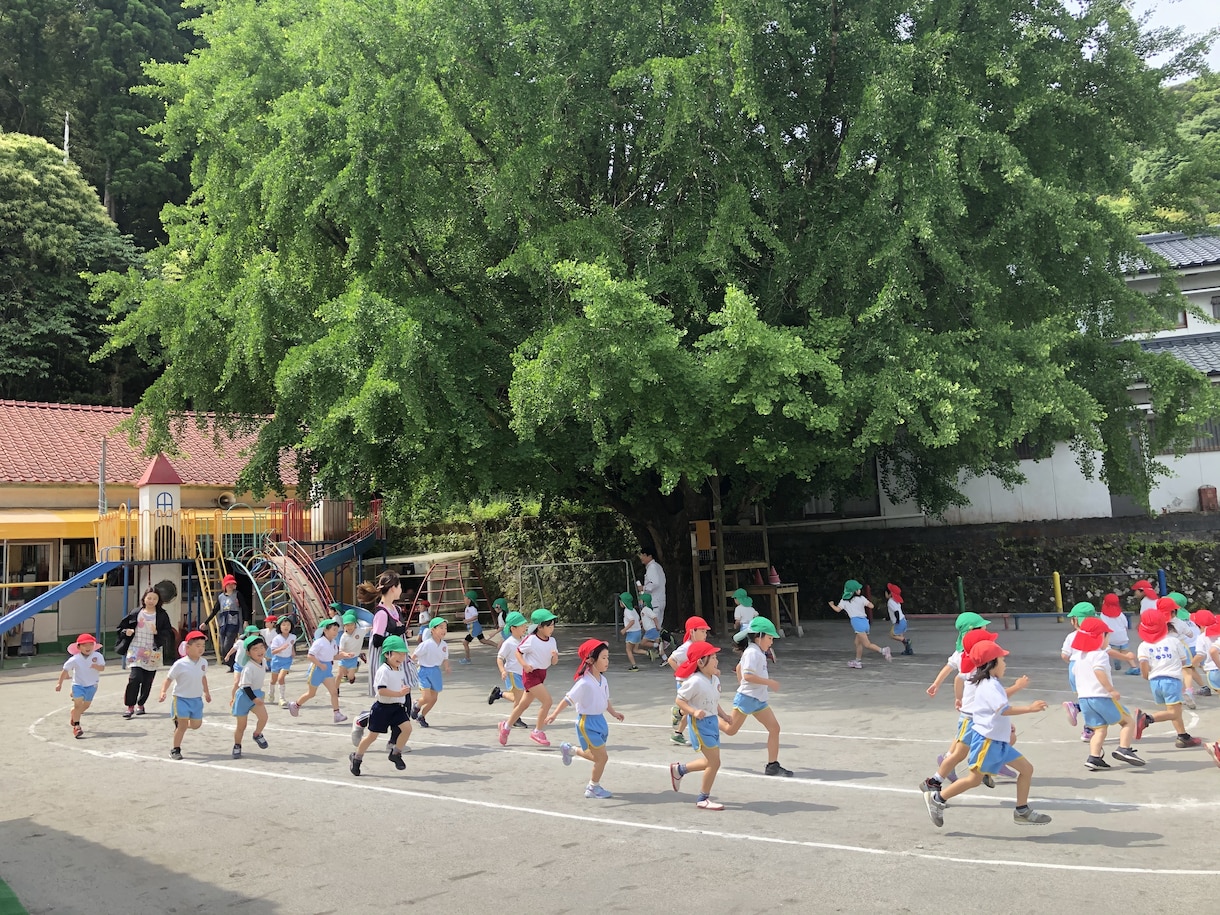 子育て・幼稚園等でのお子様の心配事の相談にのります 現役の主幹保育教諭が、何でもお答えいたします！ イメージ1