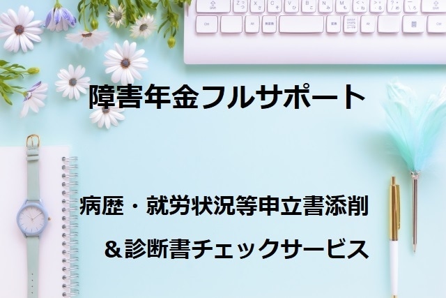完全版！障害年金の申立書添削＆診断書チェックします 障害年金専門の社労士が「受給するため」に完璧サポート イメージ1